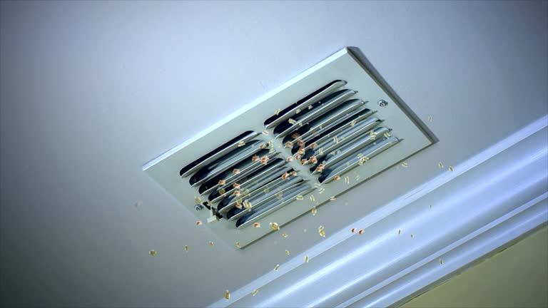 Ductwork Cleaning Services in Camino, CA