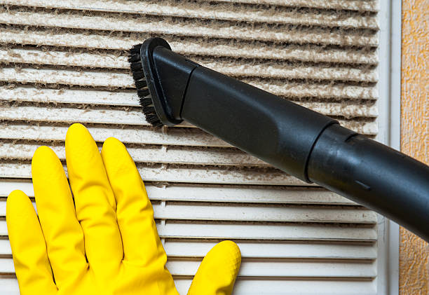 Best Ductwork Cleaning Services  in Mino, CA